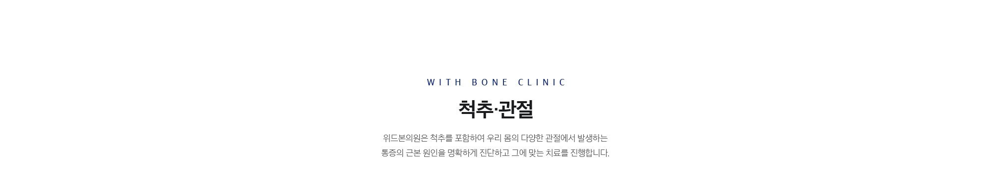 척추 관절